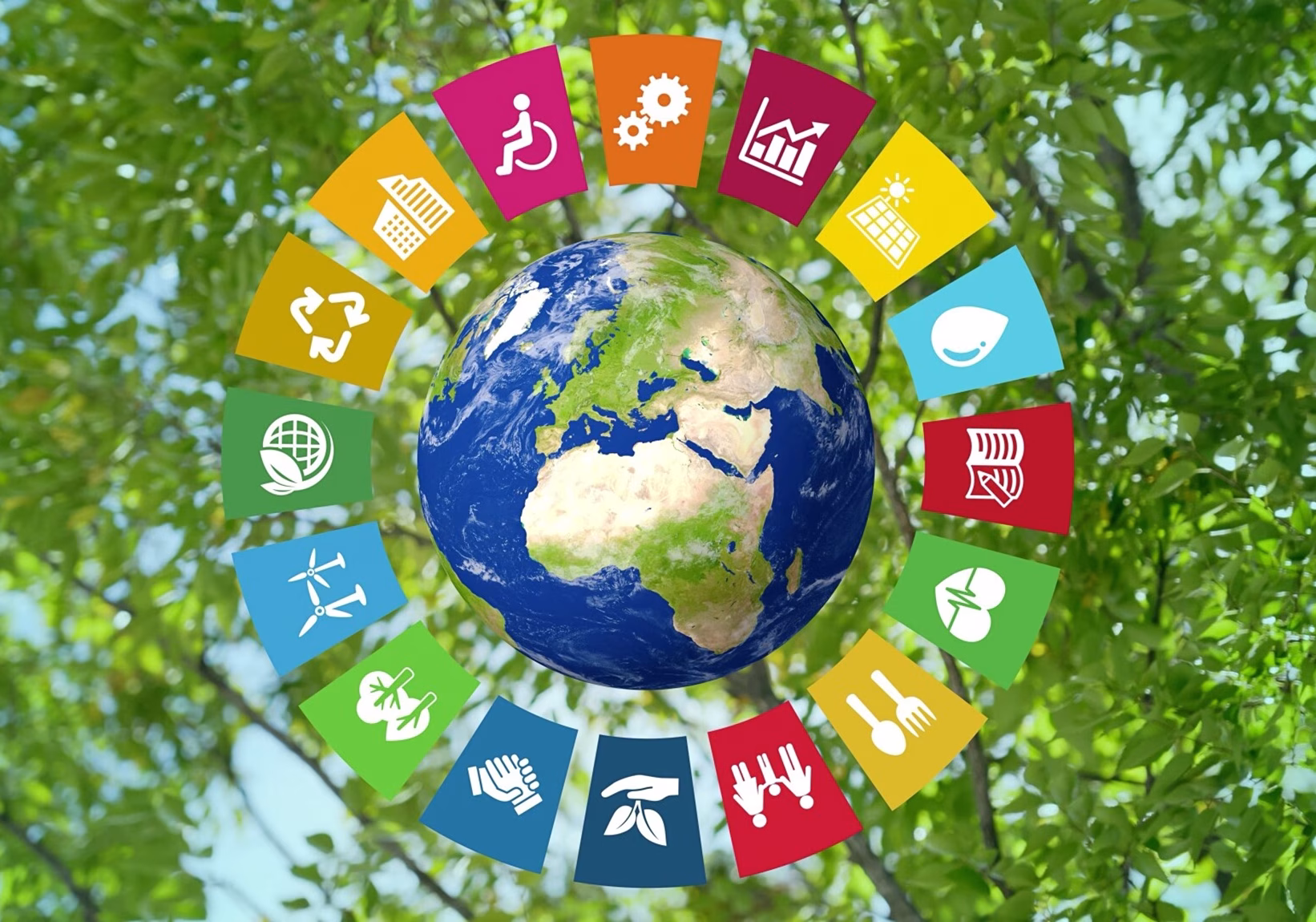 Designing for a Circular Future Why Recyclability is the New Benchmark in Construction.